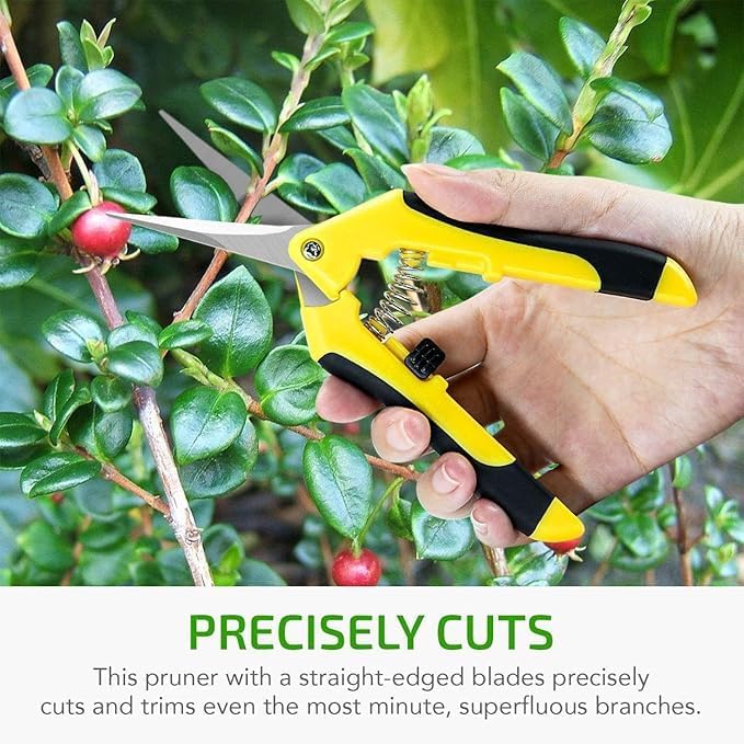 iPower 6.5 Inch Garden Hand Pruner Shears with Straight Stainless Steel Scissors, for Hydroponic Trimming Herb/Flowers/Vegetables/Plants, Yellow, 3-Pack