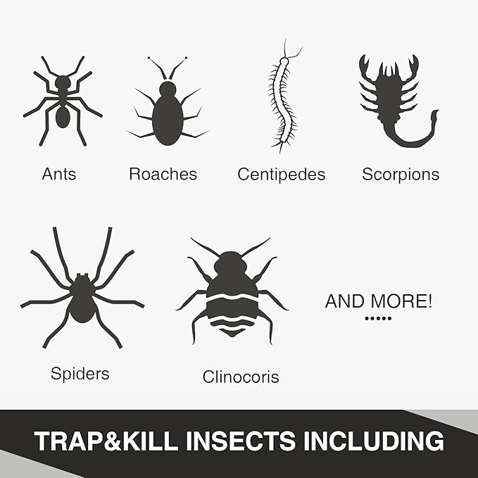 Qualirey Ant Traps Indoor, Upgraded Peanut Butter Scented, Larger 10pcs Ant Spider Cockroach Centipede and Crawling Insect Trap, Pet Safe Insect Traps for Home, Kitchen, Garage