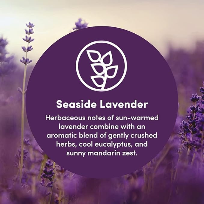 Clean Revolution Natural Fabric Softener Dryer Sheets, 80 Sheets, 160 Loads, Seaside Lavender, Naturally Derived, Sensitive Skin Safe, Made in the USA (Pack of 2)