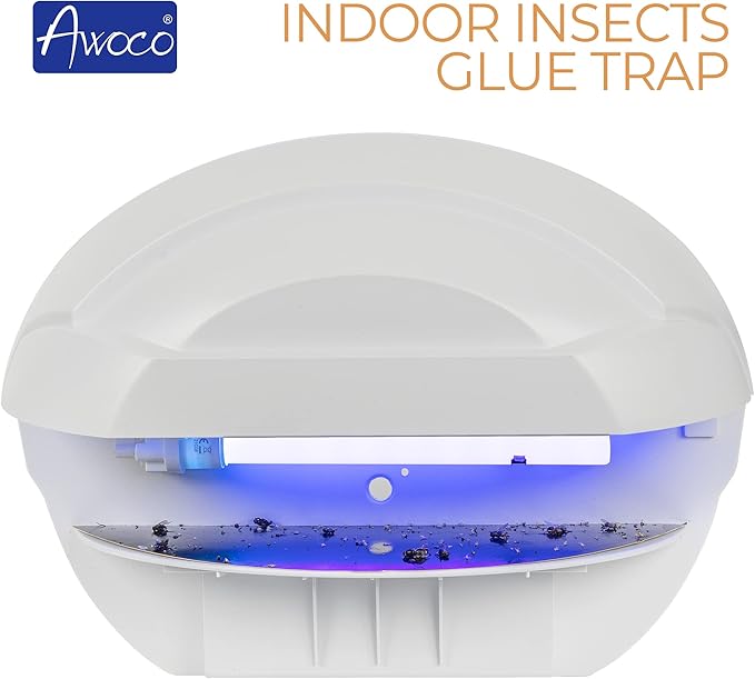 Awoco LED 5W 100V-240V Wall Mount Sconce Sticky Fly Trap Lamp for Capturing Flying Insects, Flies, Mosquitoes, and Moths (Fly Trap)