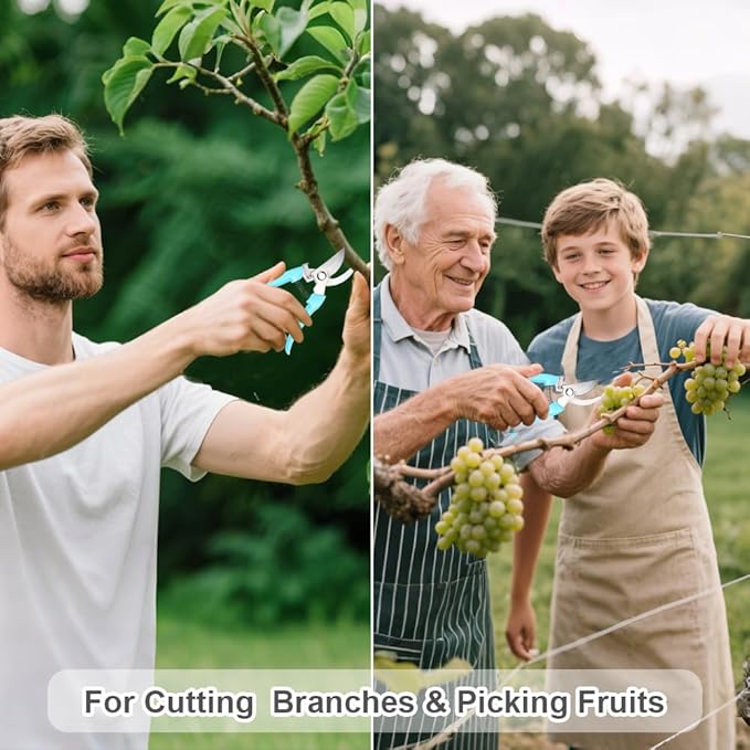 2 Pack Pruning Shears, Stainless Steel Garden Shears, Sharp Bypass & Straight Blade Garden Scissors, Comfortable Grip & Safety Lock for Pruning, Cutting and Fruit Picking