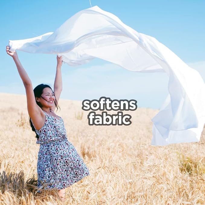 Dryer Sheets: Outdoor Scented Laundry Fabric Softener Sheets - Reduces Wrinkles - Controls Static - Softens Fabric (480 Count)