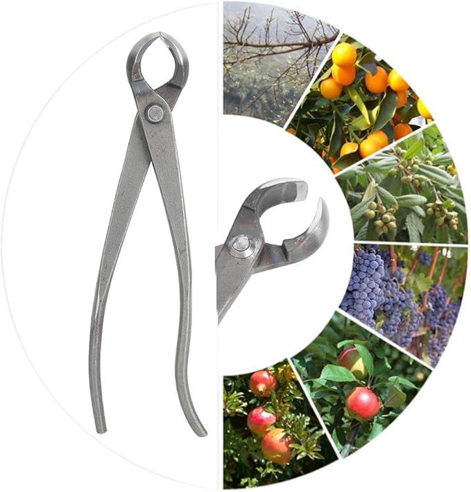 Bonsai Cutter, Knob Cutter Bonsai Tools Round Edge Cutter, Stainless Steel Bonsai Tree Knob Cutter Concave Cutter Bonsai Cutting Tool for Garden