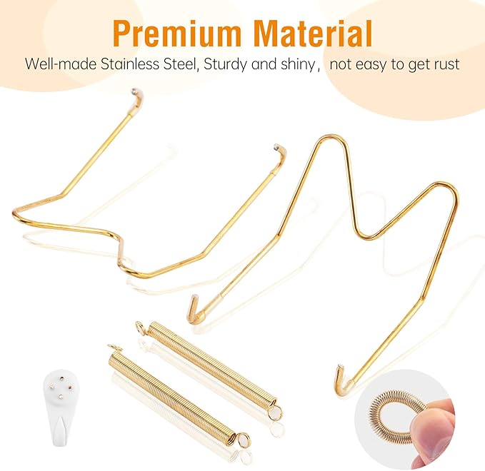 Bilillo 14 pcs Plate Hangers for The Wall, 4/6/8/10/12 Inch Invisible Plates Hangers, Stainless Steel Plate Wall Holders for Display Various Sizes with Hooks for Decorative