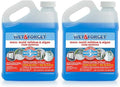Wet & Forget Moss, Mold, Mildew, & Algae Stain Remover Multi-Surface Outdoor Cleaner Concentrate, Original, 64 Fluid Ounces (2 Pack)