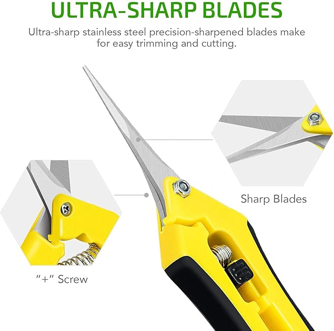 iPower 6.5 Inch Gardening Scissors Hand Pruner Pruning Shear for Gardening and Trimming, Heavy-Duty, Ultra Sharp Stainless Steel, Yellow, 6-Pack