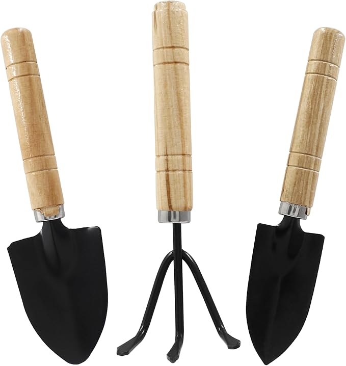 Waziaqoc 3Pcs Mini Garden Tools, Small Indoor Gardening Tools Includes Hand Shovel, Transplant Spade, Hand Rake with Wood Non Slip Handle for Plant Succulent, Flower, Vegetables