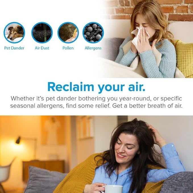 WBM Smart HEPA Filter Air Purifier for Allergies and Pets, Dust, Mold, and Pollen, Smoke and Odor Eliminator, Cleaner for Bedroom, Black