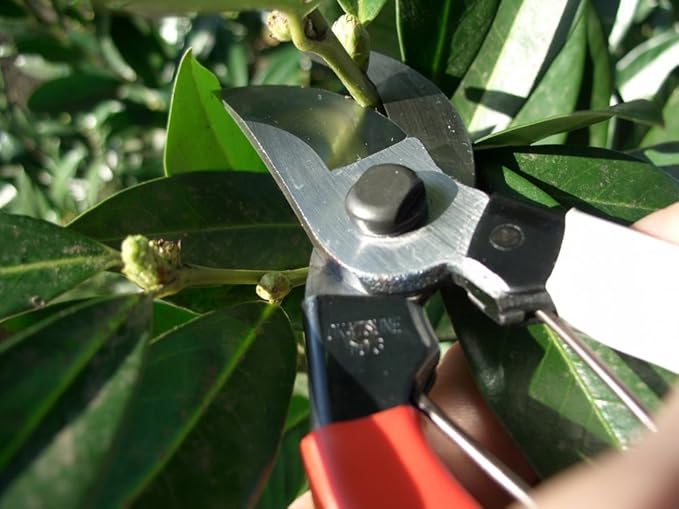 Okatsune Pruning Shears Unique 8.3 inches (210 mm) (Blister) No. 104