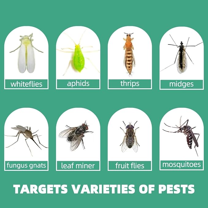 Innovative Ver. 2.0 Yellow Fungus Gnat Traps, Easier to Use, No Touching Glue Or Bugs, 36 Traps,Targets Species for Gnat, Fruit Fly & Pests, Thoughtfully Designed, High Capture Rate, Kid & Pet Safe