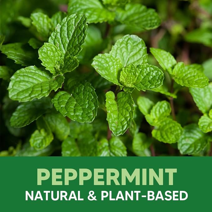 Rodent Repellent, Mouse Repellent Pouches, Mice Repellent Indoor, Rat Repellant for House, Mice Deterrent, Keep Mice Away, Extra-Strength Peppermint Effective for 80 ft² and 90 days-8P