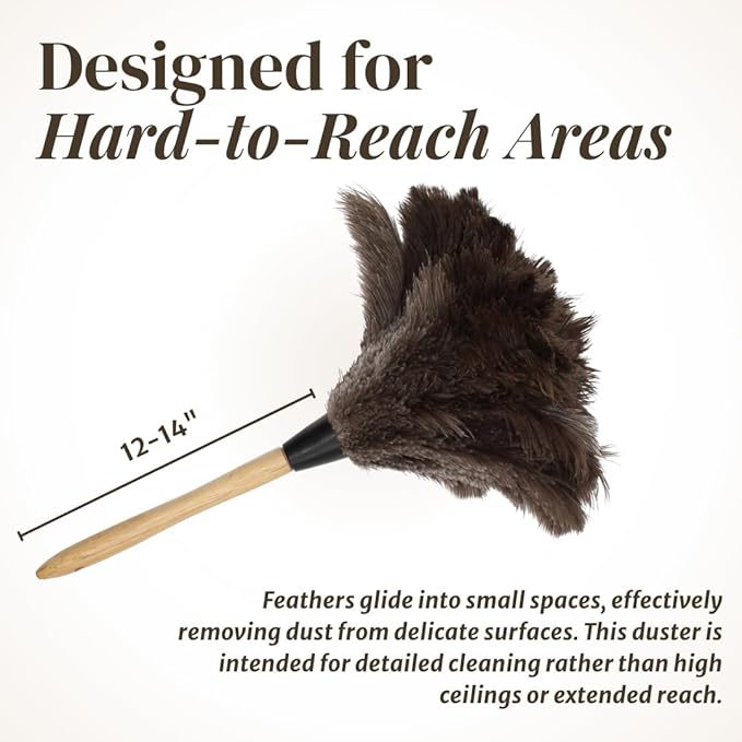 Feather Duster with Ostrich Feathers Wooden Handle 14" – Natural Reusable Duster for Cleaning, Furniture & Shelves, Blinds, Ceiling Fan, Dusting Tool for Home, Office, Delicate Surfaces - 1 Pack