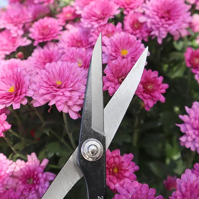Zenport ZS104 Deluxe Scissors for Garden, Crafts and Horticulture, 8-Inch, Box of 12, red/White (ZS104-12PK)