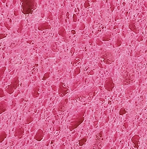 Non-Scratch Cellulose Sponge Kitchen Scrub Sponge with Scouring Pad Set, Good for Non-Stick Cookware Frying Pan, Pot, Counter Top, Sink Scrubbing, Kitchen Scrubbers, Pack of 1, Red/Pink