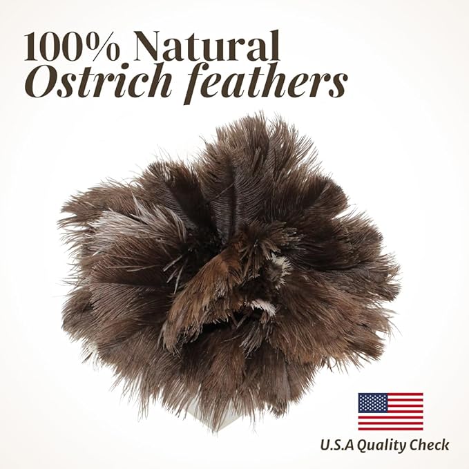 Feather Duster with Ostrich Feathers Wooden Handle 14" – Natural Reusable Duster for Cleaning, Furniture & Shelves, Blinds, Ceiling Fan, Dusting Tool for Home, Office, Delicate Surfaces - 1 Pack