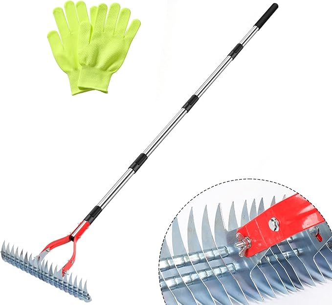 Thatch Rake, 15-Inch Wide dethatcher rake for Cleaning Dead Grass, Adjustable Dead Grass rake for Yard Lawn,thatch rakes for lawns with Stainless Steel Handle, Yard dethatcher rakes, 70-Inch Length.