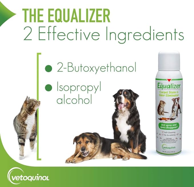 Vetoquinol Equalizer Pet Carpet Cleaner, Stain Remover & Odor Eliminator, Carpet Spot Cleaner, 20oz