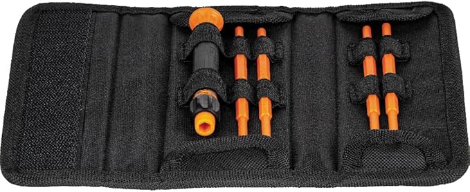 Klein Tools 32584INSR Precision 8-in-1 Screwdriver Set with Case, 1000V Rated Insulated Set with Phillips, Slotted and Tamperproof TORX Bits
