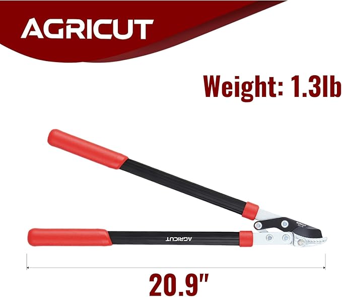 AGRICUT 21" Garden Loppers Anvil - Loppers for Tree Trimming Heavy duty 1.5" Cut Capacity Branch Cutter with Sharp High Carbon Steel Blade for Cutting Branches