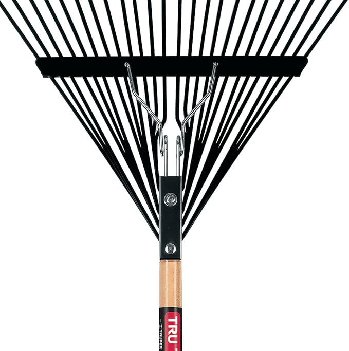 Truper 30480 Steel Leaf Rake 24 Tines - 24-Inch Head, 54-Inch Wood Handle - Garden Rakes Metal Heavy Duty - Yard Rakes - Lawn Rake for Leaves and Grass