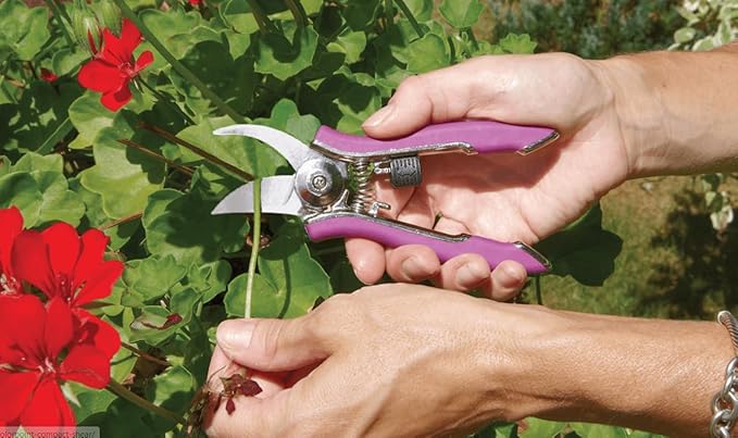 Dramm ColorPoint Stainless Steel Compact Garden Pruning Shears, Hand Pruner, Garden Clippers, with Heavy Duty Blade and Easy grip Handle, Red