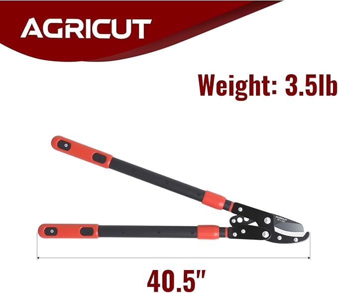 AGRICUT Extendable Garden Loppers Anvil - Tree Trimmer 2" Cut Capacity Hedge Clippers with Sharp High Carbon Steel Blade Hand Loppers for Cutting Branches