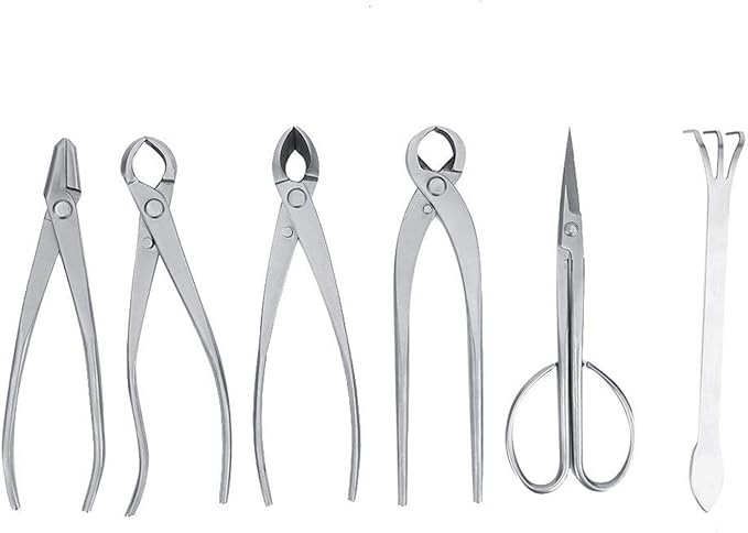 Bonsai Tools Set, 6pcs Stainless Steel Bonsai Garden Plant Tree Scissors Trimming Cutting Tool Set with Storage Bag, Garden Plant Tools