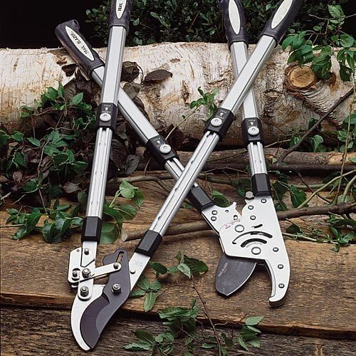 Tree Trimmer Loppers - Double Ratcheting Anvil Lopper - Extendable 26" - 40" Long Handles - Loppers for Tree Trimming Heavy Duty by Kings County Tools