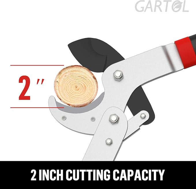 GARTOL 29" Heavy Duty Anvil Lopper, 2-Inch Cutting Capacity Tree Branch Cutter with Compound Action, Effortless Power Loppers for Hardwood & Dry Branches, Ergonomic Non-Slip Handles
