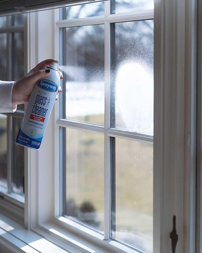 Sprayway Glass Cleaner with Foaming Spray for a Streak-Free Shine for Home and Automotive Use,19 oz.,(Pack of 12)