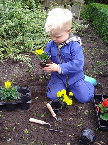 Tierra Garden Dewit Junior Kid's Hand Fork