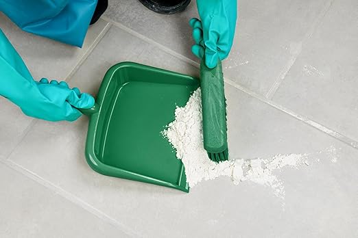 SPARTA Large Handheld Dustpan with Hanging Hole, Heavy-Duty Plastic Dustpan with Wide Lip for Countertops and Surfaces, Plastic, 10 Inches, Green