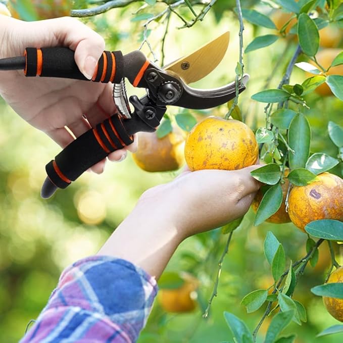Pruning Shears, Garden Shears,Professional Bypass Pruner Hand Shears Heavy Duty, Garden Clippers,8" Hand Pruners with Foam-Grip Handles,Plant Cutting Scissors for Gardening,Hedge