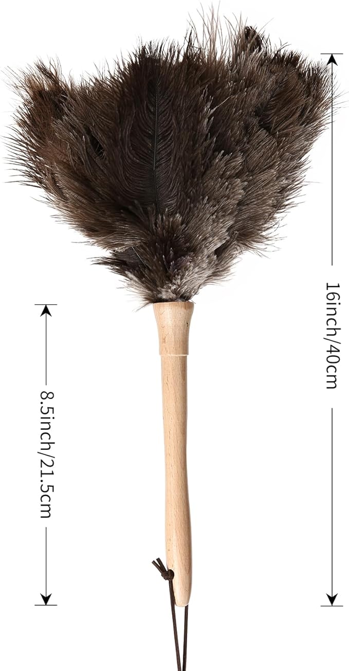 Ostrich Duster Fluffy Natural Feather Dusters with Wooden Handle Cleaning Supplies for Home Office Car (1, 16inch)