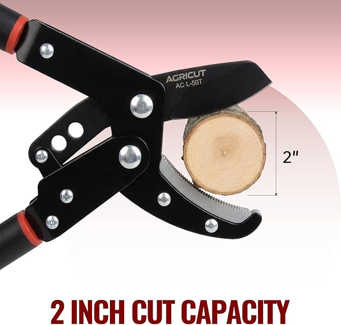 AGRICUT Extendable Garden Loppers Anvil - Tree Trimmer 2" Cut Capacity Hedge Clippers with Sharp High Carbon Steel Blade Hand Loppers for Cutting Branches