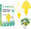 Innovative Ver. 2.0 Yellow Fungus Gnat Traps, Easier to Use, No Touching Glue Or Bugs, 36 Traps,Targets Species for Gnat, Fruit Fly & Pests, Thoughtfully Designed, High Capture Rate, Kid & Pet Safe