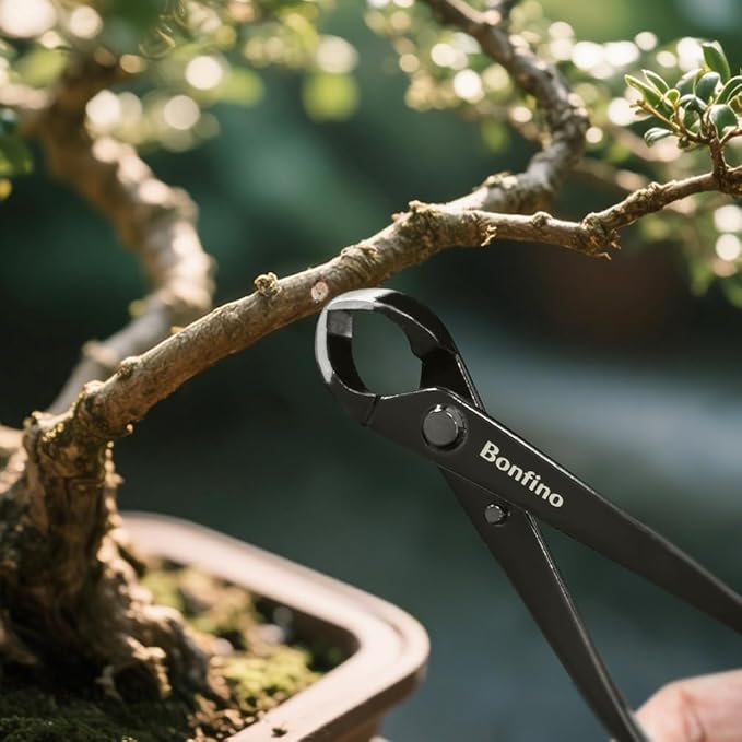 Bonsai Concave Cutter 8.3 inch, Heavy Duty Bonsai Clipper, Professional Grade Manganese Steel, Precision Branch Pruning Tool