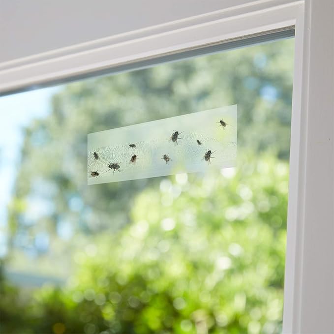 Faicuk 20-Pack Clear Window Fly Traps Sticky Flys Strip for Indoor Houseflies Nontoxic and Pesticide-Free