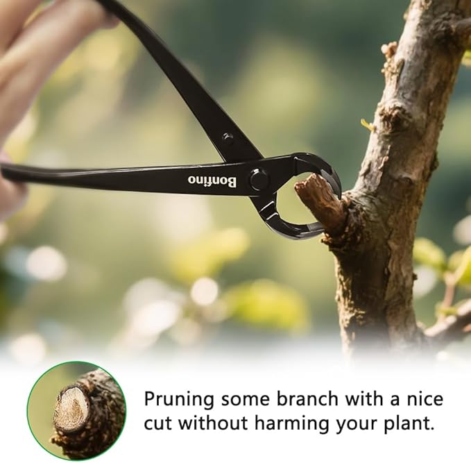 Bonsai Concave Cutter 8.3 inch, Heavy Duty Bonsai Clipper, Professional Grade Manganese Steel, Precision Branch Pruning Tool