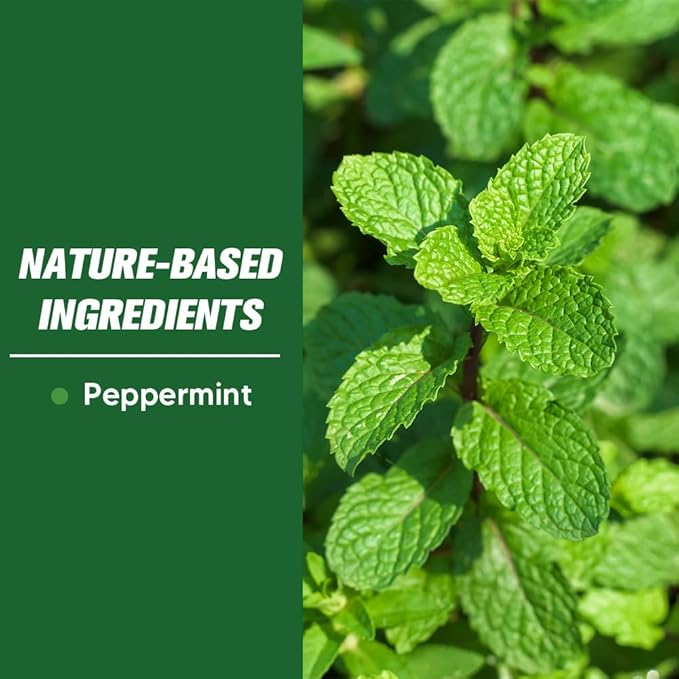 Pest Control, Mice Repellent Indoor, Mouse Repellant Pouches, Rodent Repellent, Peppermint to Repel Ant, Roach & Spider, Rat Deterrent for House, Keep Mice Away, Safe and Easy to Use-8P
