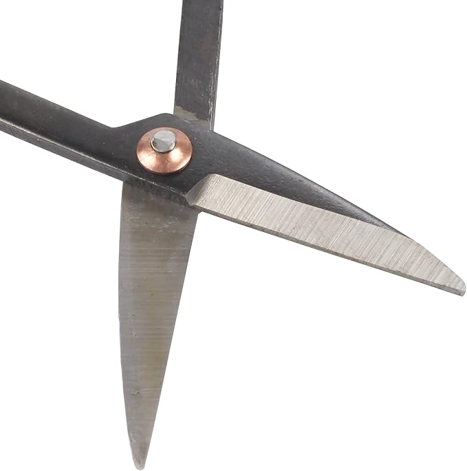 BambooMN 7.2" Black Bonsai Trimming Shear - 1 Piece