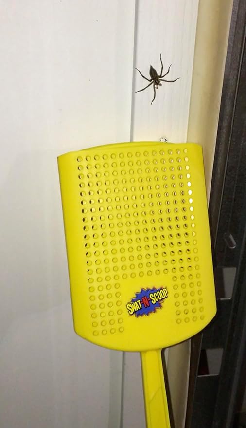 Heavy Duty Fly Swatter and Spider Catcher and Release. Insect Fly Catchers for Inside Home. House Fly Swatter or Humane Bug Catcher with Built in Insect Scoop. (3pk, Yellow)