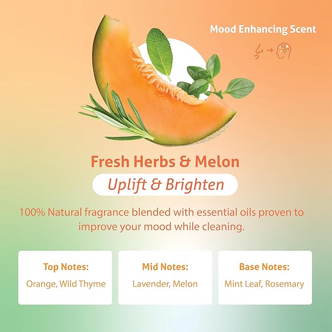Therapy Clean Dish Soap - Fresh Herbs and Melon - 16 fl oz (Pack of 3), Biodegradable Natural Dishwashing Liquid, Liquid DIsh Soap