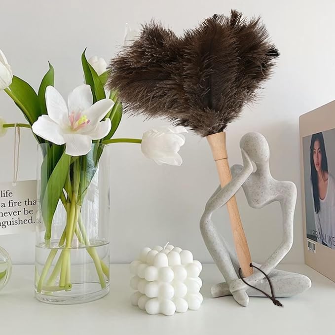 Ostrich Duster Fluffy Natural Feather Dusters with Wooden Handle Cleaning Supplies for Home Office Car (2, 16inch)