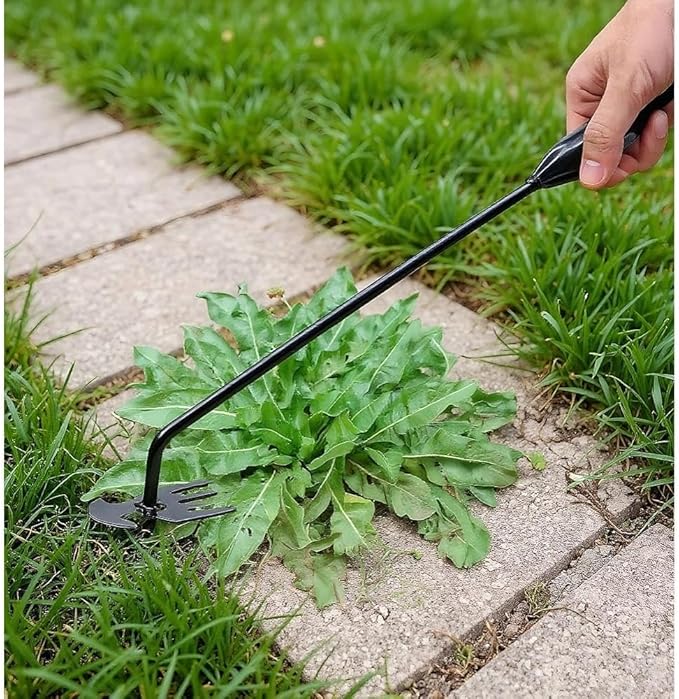 2-Pack Weed Puller Tool, 16-Inch Long Handle with 4 Prongs, Manual Weeder for Garden and Yard Work