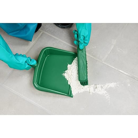 SPARTA Large Handheld Dustpan with Hanging Hole, Heavy-Duty Plastic Dustpan with Wide Lip for Countertops and Surfaces, Plastic, 10 Inches, Green, (Pack of 12)
