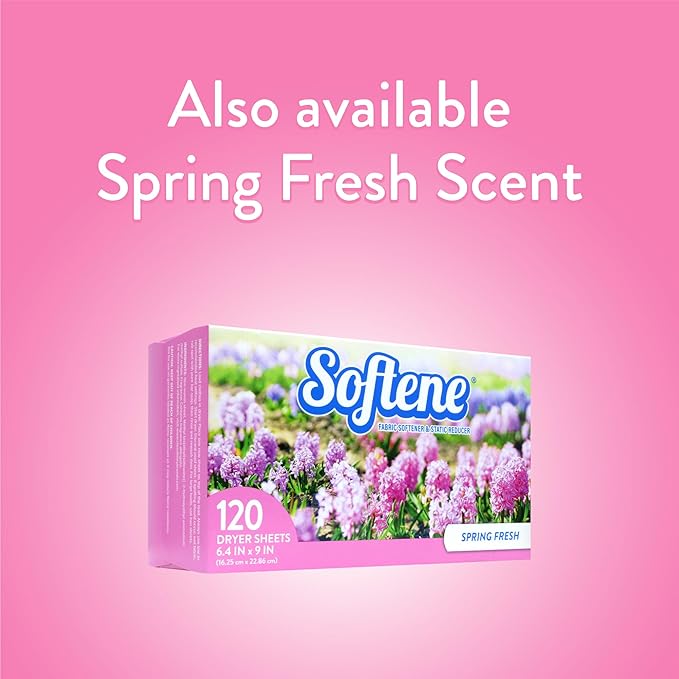 Mountain Fresh Dryer Sheets 120ct