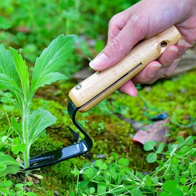 Kana Hoe 217 Japanese Garden Tool - Hand Hoe/Sickle is Perfect for Weeding and Cultivating. The Blade Edge is Very Sharp., Beige-028