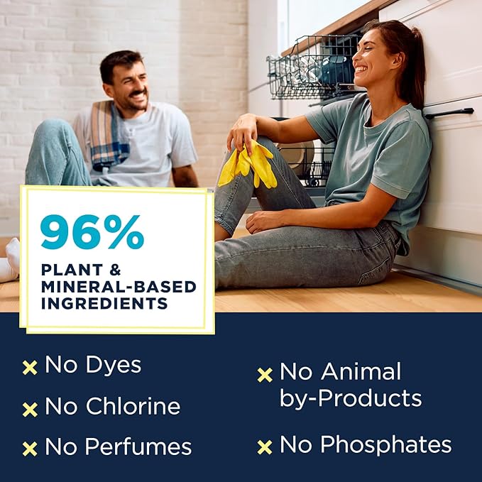 Nature Clean Non Toxic Dishwasher Detergent Pods, Plant-Based Dishwashing Pods, Non-Toxic & Unscented Dish Pods, Tough on Grease, Eco-Friendly Cleaning Power, 60 Count, Pack of 4
