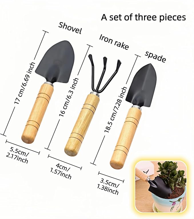 3-Piece Mini Garden Tool Set, Indoor Plant Care Kit with Wood Handle, Black Iron Tools for Potting, Transplanting and Cultivating, Compact Succulent and Houseplant Tools,Small Shovel, Trowel, Rake